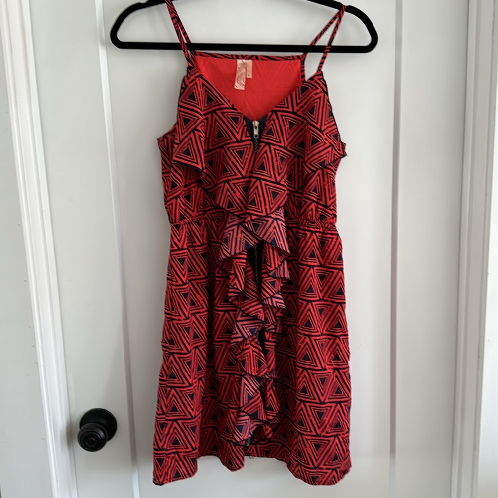 Francesca’s Printed Dress